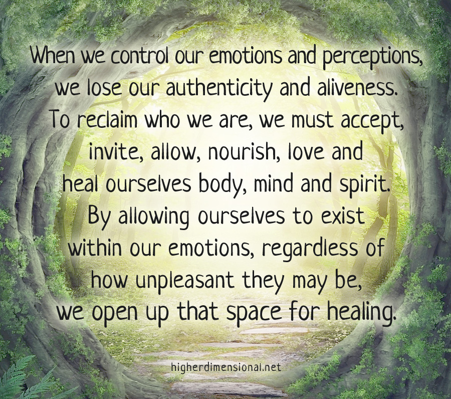higher-dimensional-guidance-healing-healing-quote